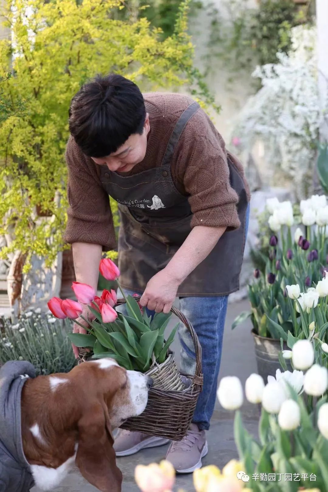 第八届园丁奖露台组《030号》洛基花园