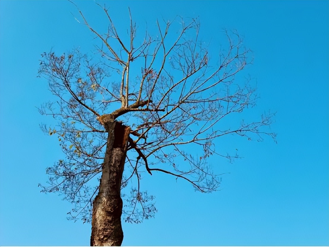 康养胜地人文兴义的英文,康养胜地人文兴义什么时候提出的