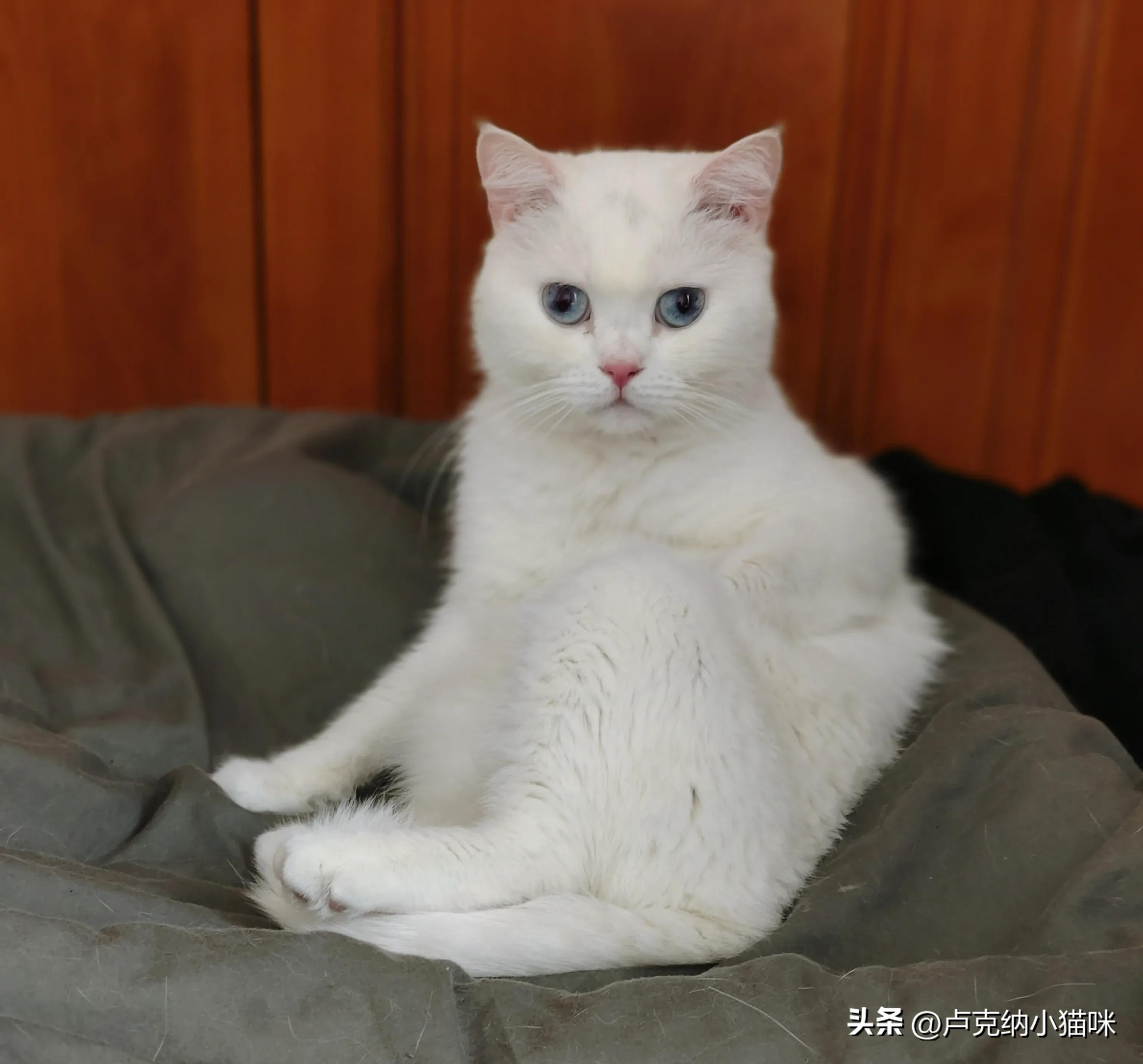 髌骨骨折术后60天正确康复锻炼,髌骨骨折术后三个月康复锻炼教程