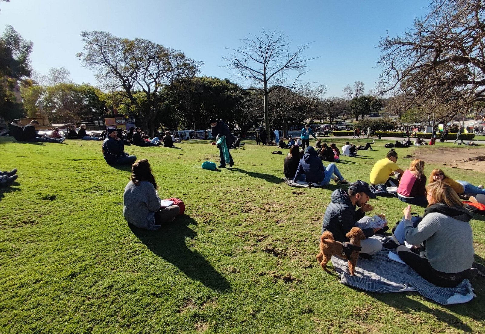 真实的阿根廷现状,解读阿根廷现状