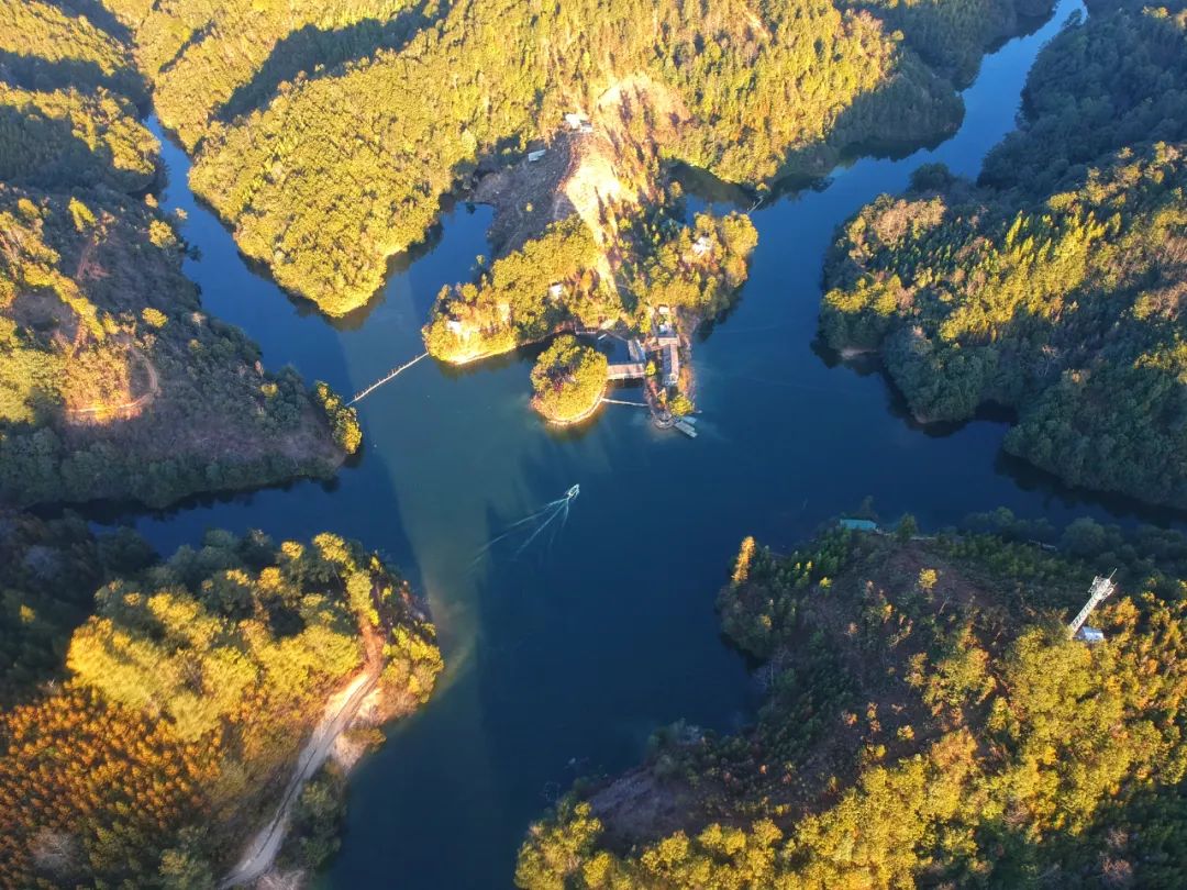银杏谷泡温泉的地方,广东冬天赏银杏泡温泉