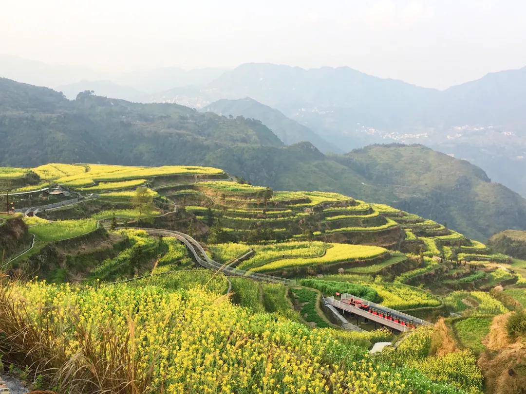 高铁2h直达！这座被忽略的浙江县城，买菜用欧元，连央视都来体验