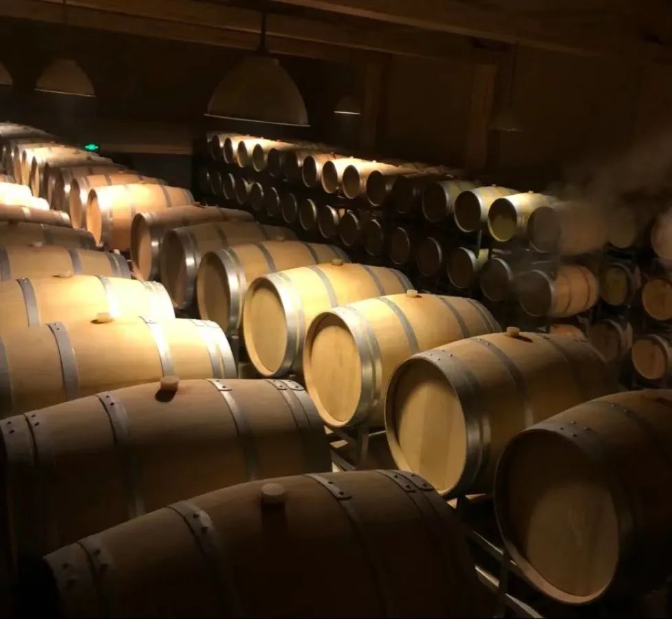 *疆新**多姿多彩的民宿，总有一款适合你！