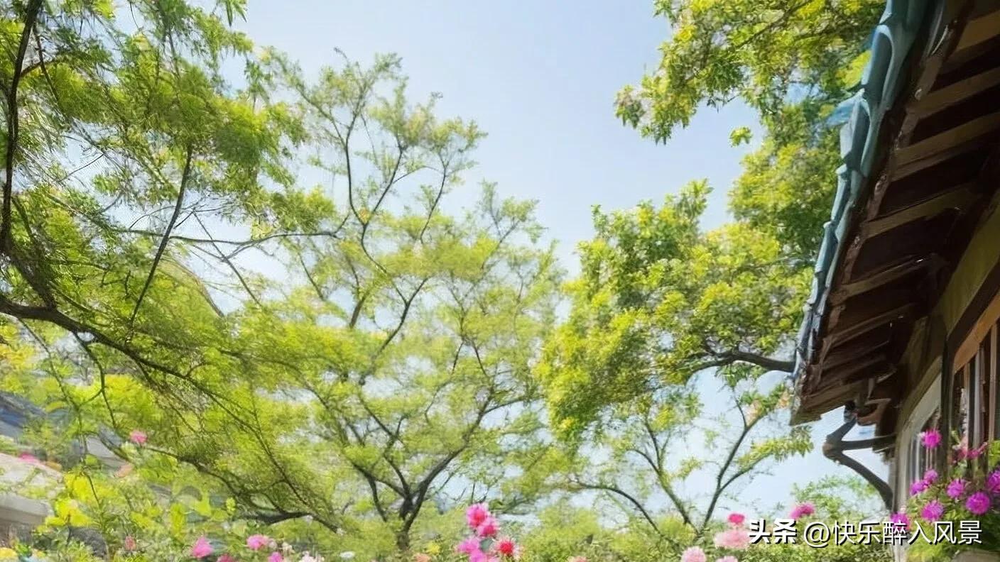 微头条怎么突破原有素材,如何找微头条热门素材