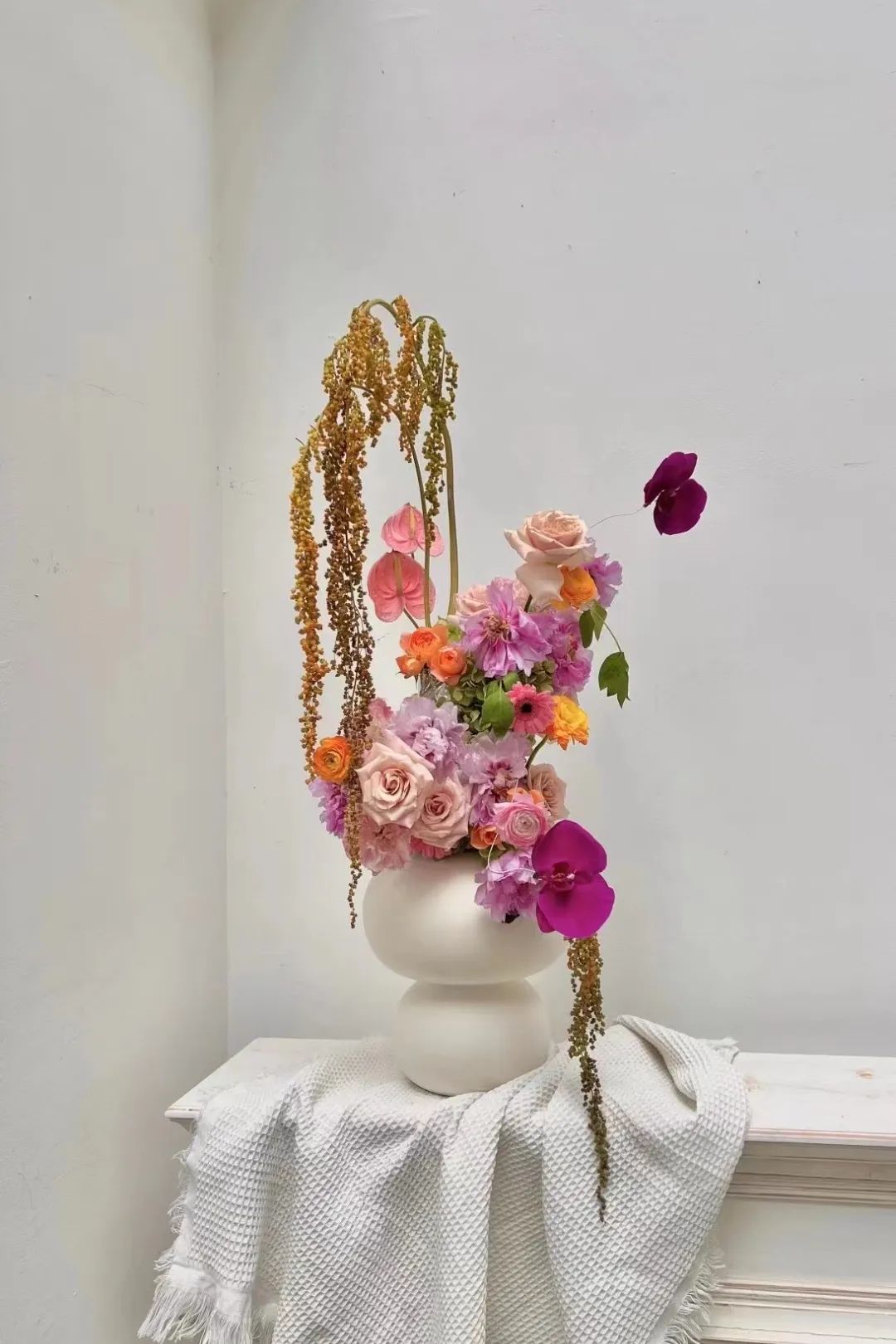 新手怎么选购鲜花呢,新手鲜花种类怎么选