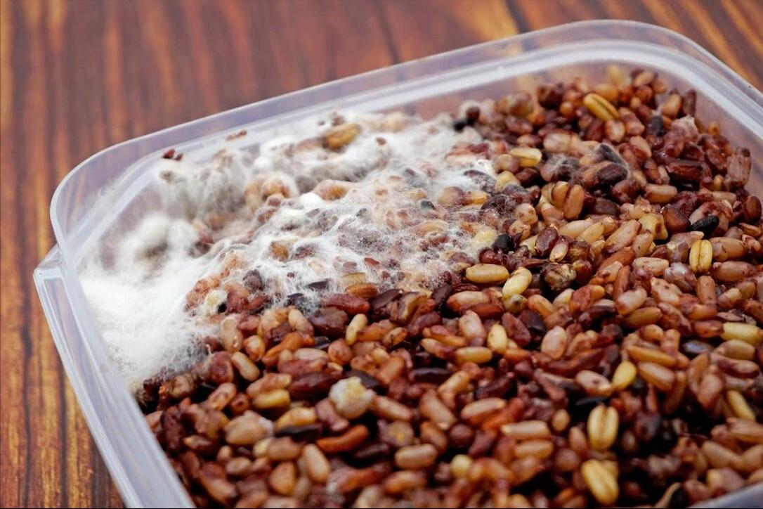 粗粮要怎么做才营养又好吃 (常见粗粮该怎么做才好吃)