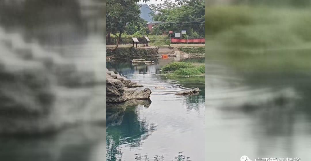 潜水深海十大诡异发现,深海神秘遗骸