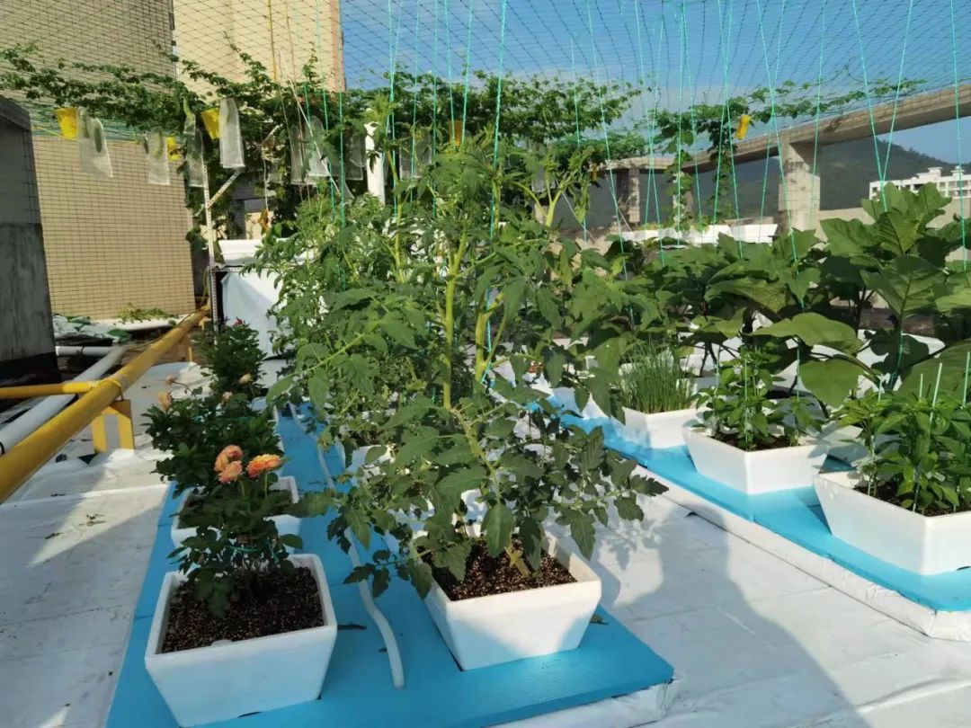 浅池二培,浅池厌氧