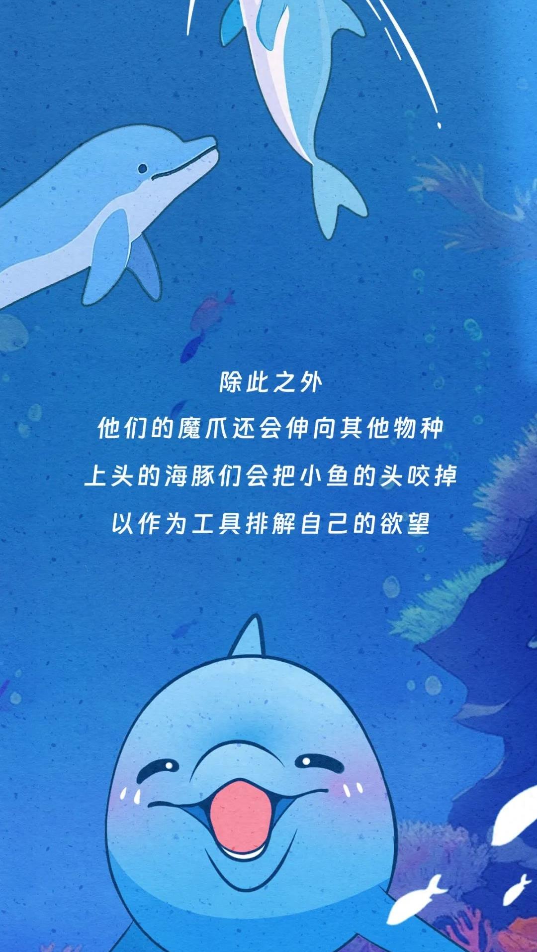 动物交配行为鉴赏，真的触碰到了我的知识盲区（漫画）