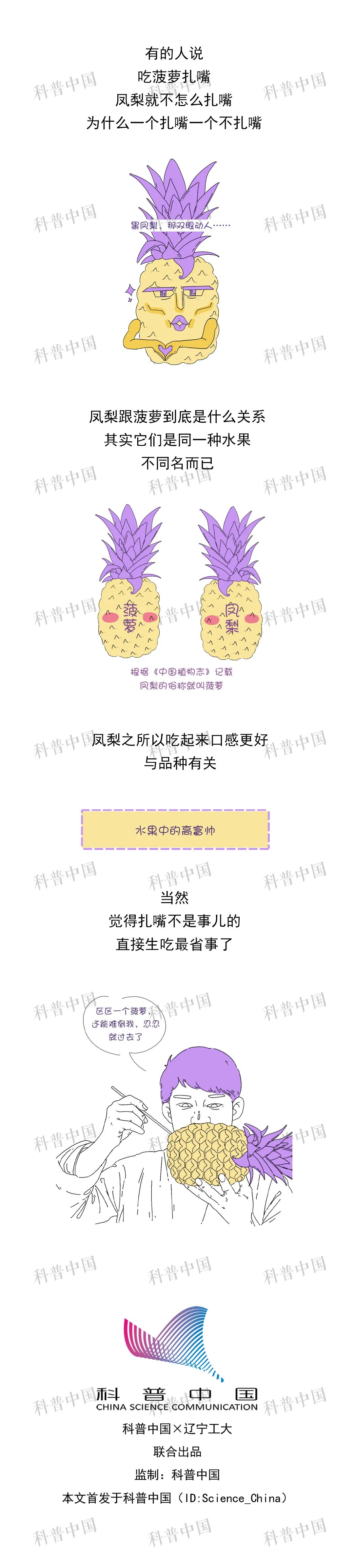 现在的菠萝为什么不泡在盐水了,菠萝泡在盐水里面可以泡多久