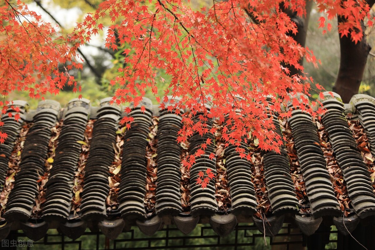 秋天的苏州必去的景点,苏州秋天小众景点推荐