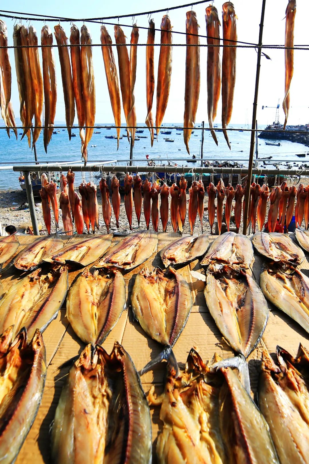 东北人都不爱吃鱼吗,南方人都很会吃鱼