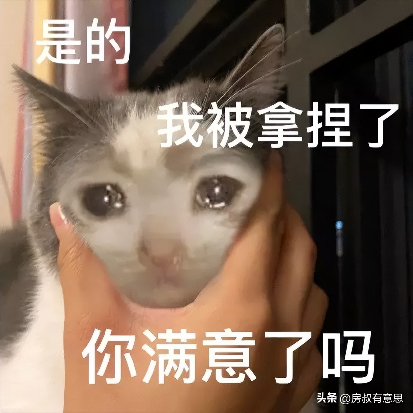 世界杯竞猜2-3球是怎么回事,世界杯竞猜多少人倾家荡产