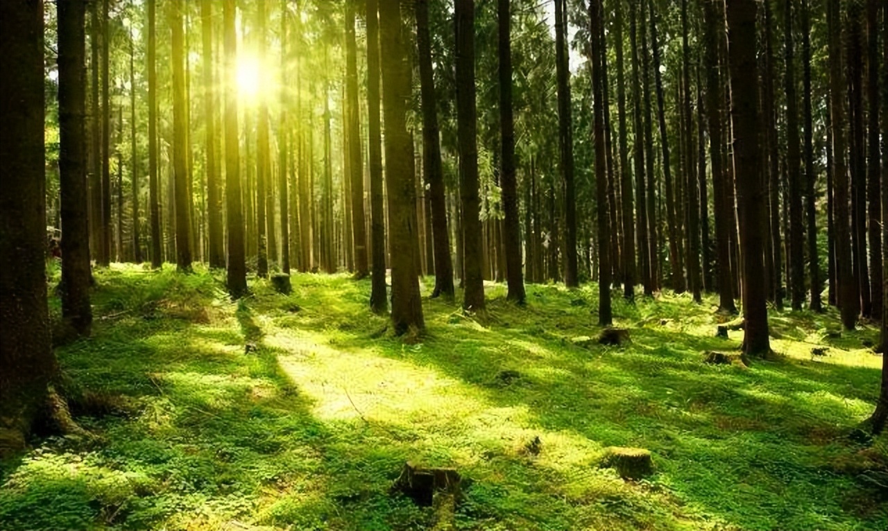 广告公司领导者能力,如何做好广告公司领导