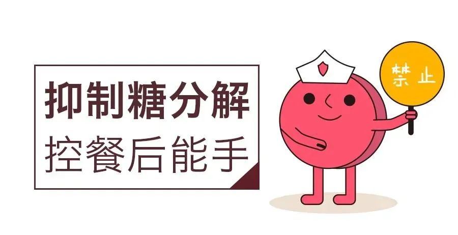 哪些糖尿病药对肝有损伤,哪些糖尿病药物会导致过敏