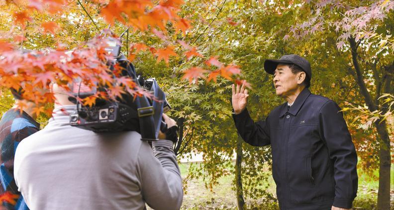 七旬患癌老人种树价值六亿,患癌患者卖房捐款后续