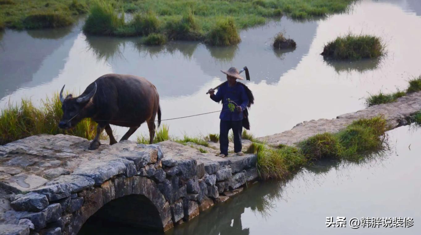 常言道后面一句是什么,常言道后半句是什么