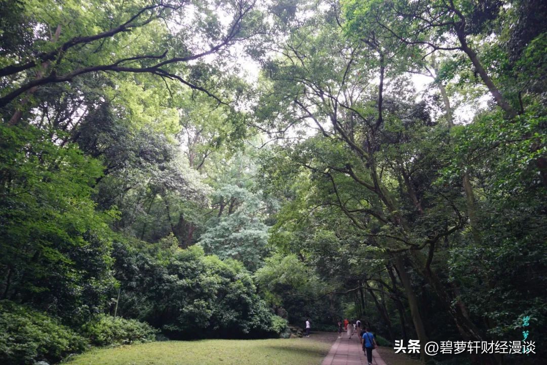 杭州虎跑公园旅游攻略,杭州虎山公园游玩攻略