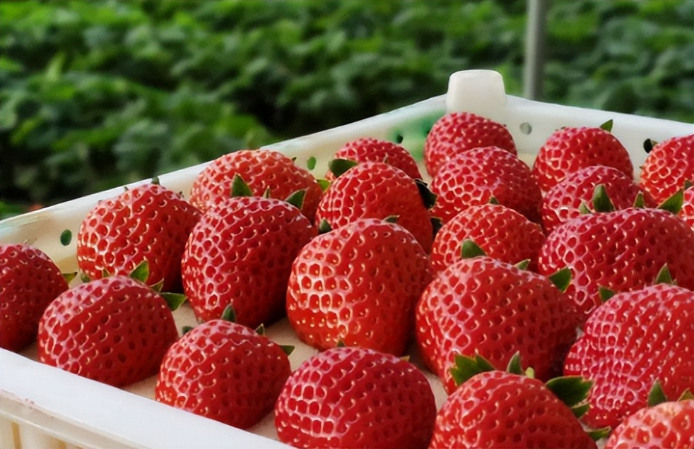 返程行囊里装了啥？安检机都知道！多名旅客被查，只因带了这种东西