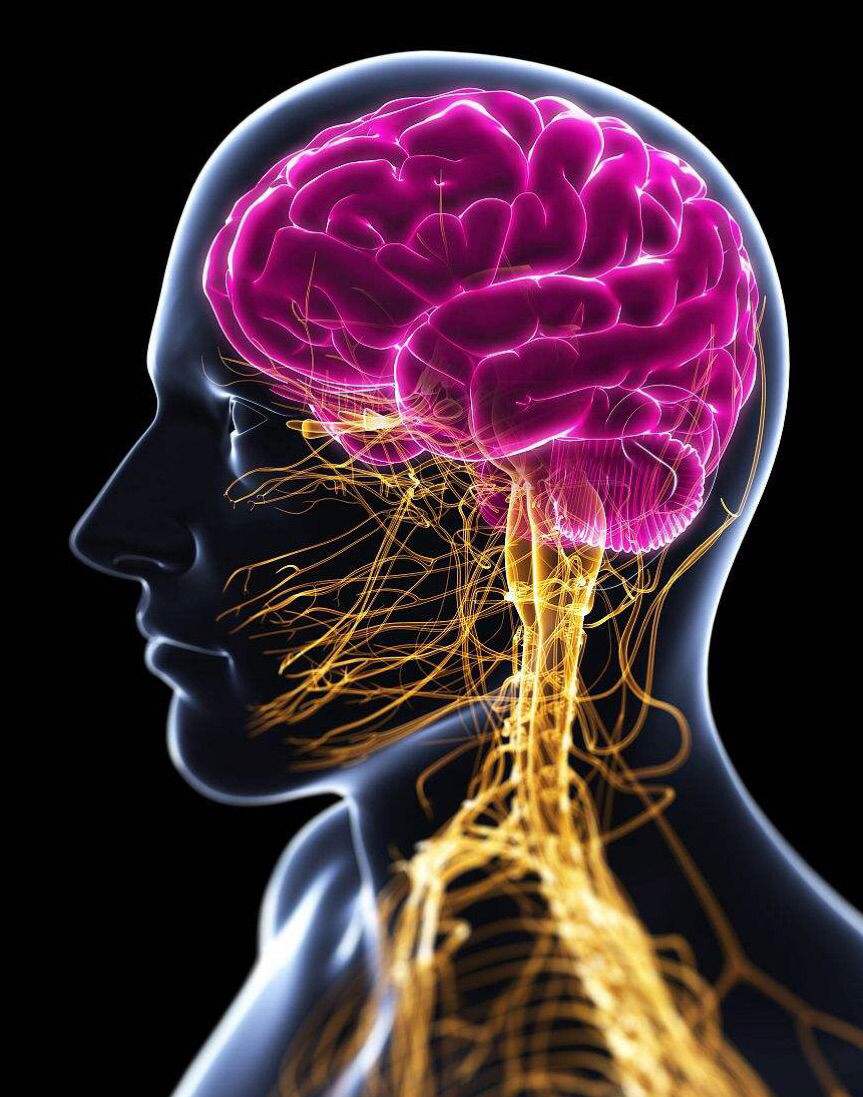 一旦发作就会死的病,人兽共患传染病