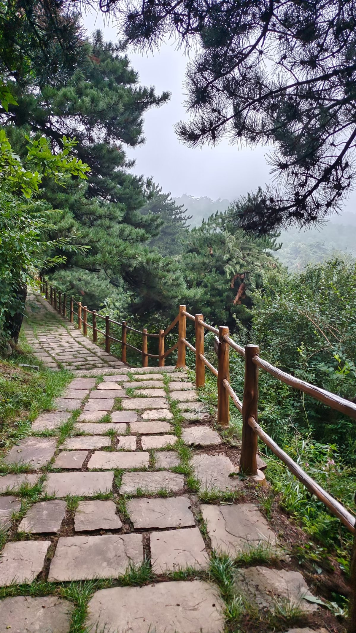 太行山脉徒步穿越,南太行十字岭徒步王莽岭