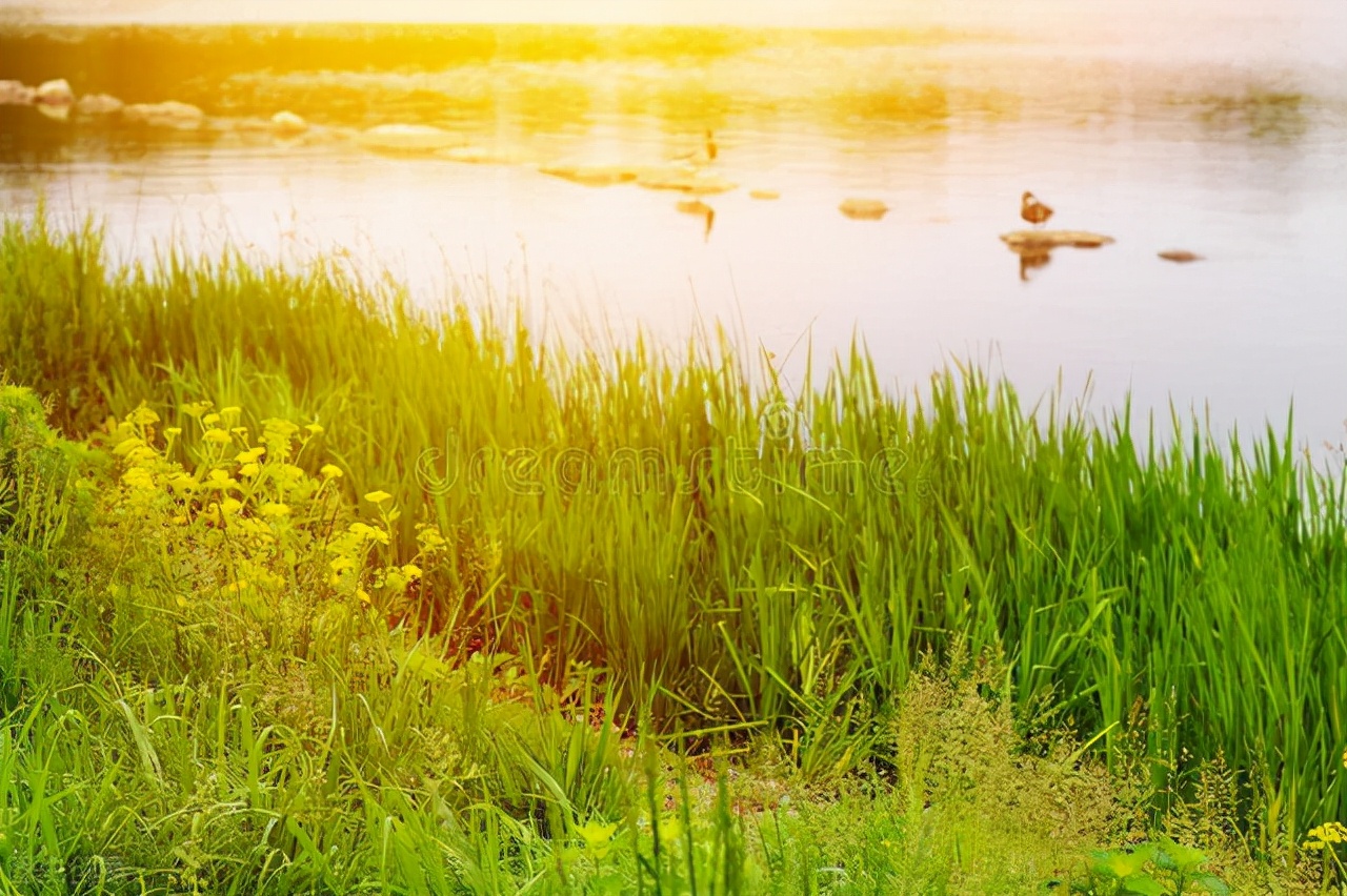 读了书才知道的事,读了书才明白的道理