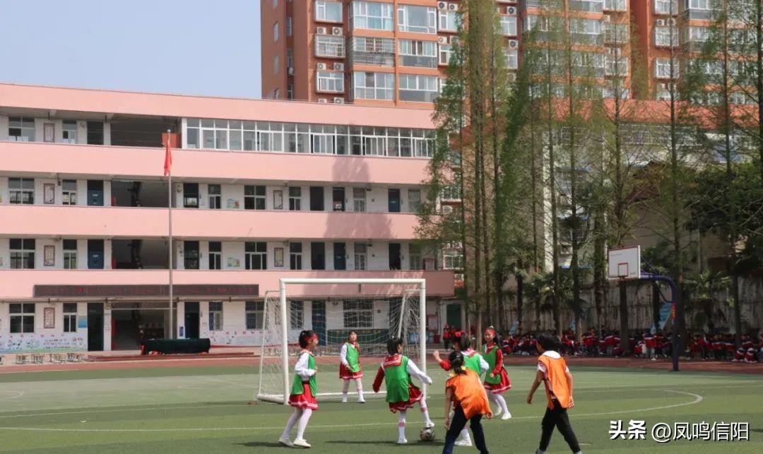 羊山新区第五小学冬季运动会直播,羊山新区第五小学怎么样