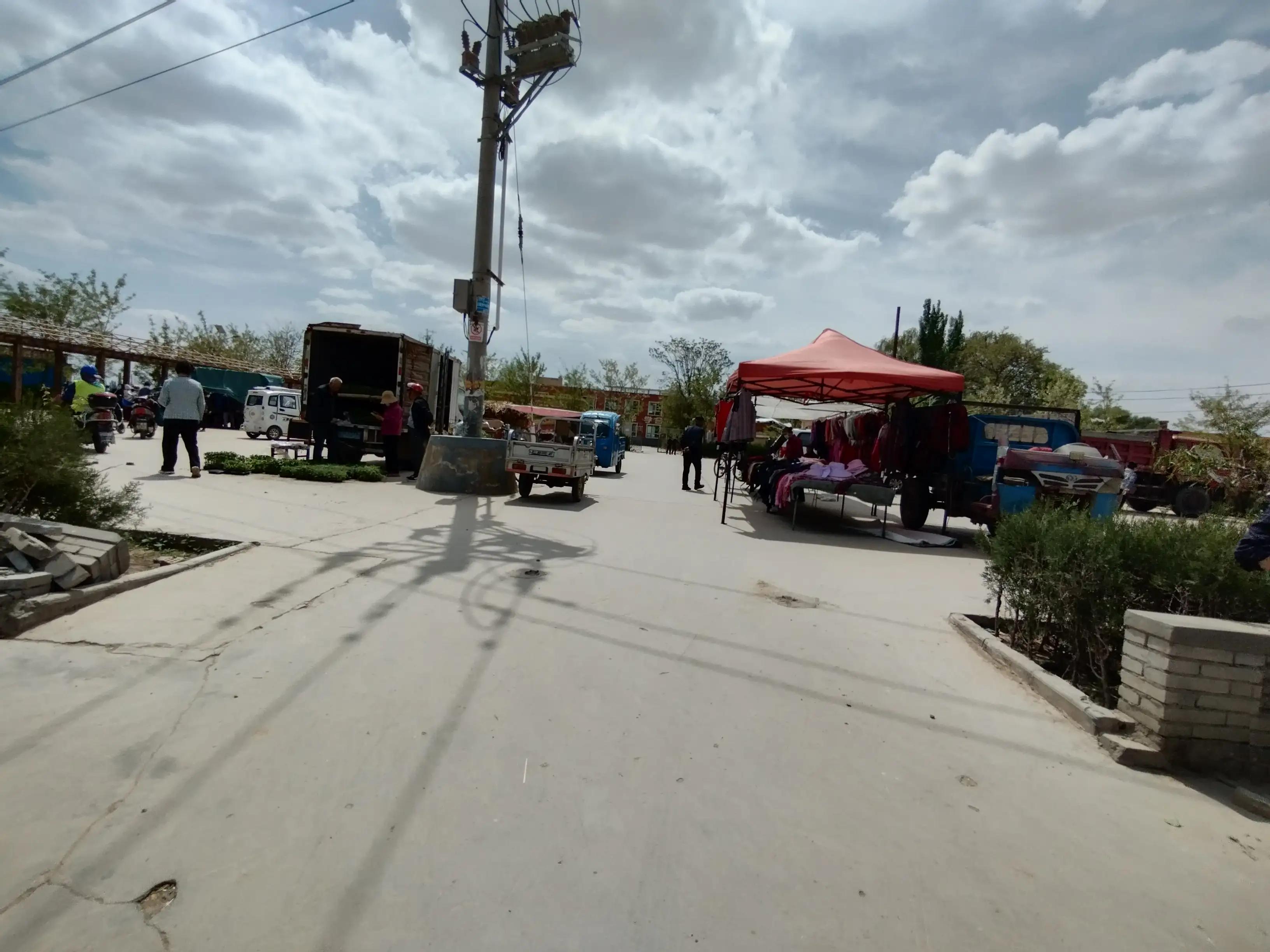 卖菜苗做什么生意,卖菜苗和种子