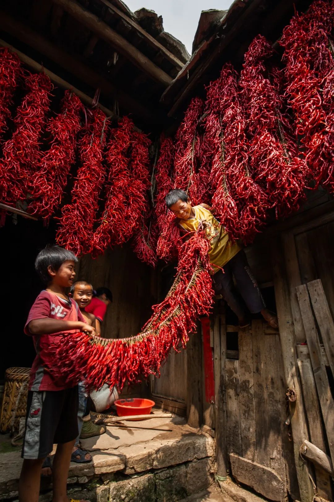 怎么才能看懂中国历史,如何详细的了解中国的历史