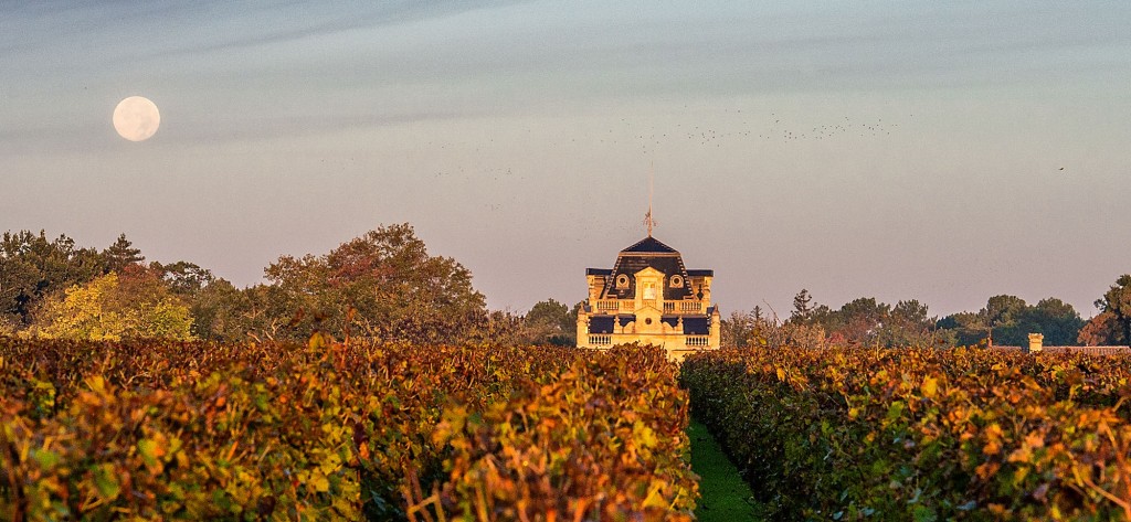 AG94-96分，优雅纯正的美人鱼城堡2021期酒