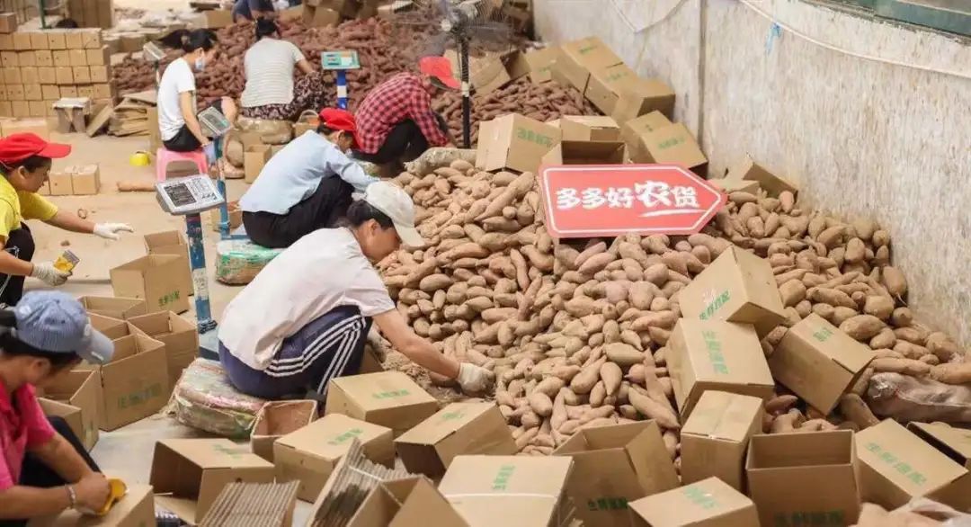 拼多多入局农业战略的优势,拼多多一站式产业助农新路径