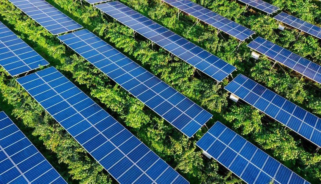 能源转型前景和未来趋势,能源转型的关键是什么