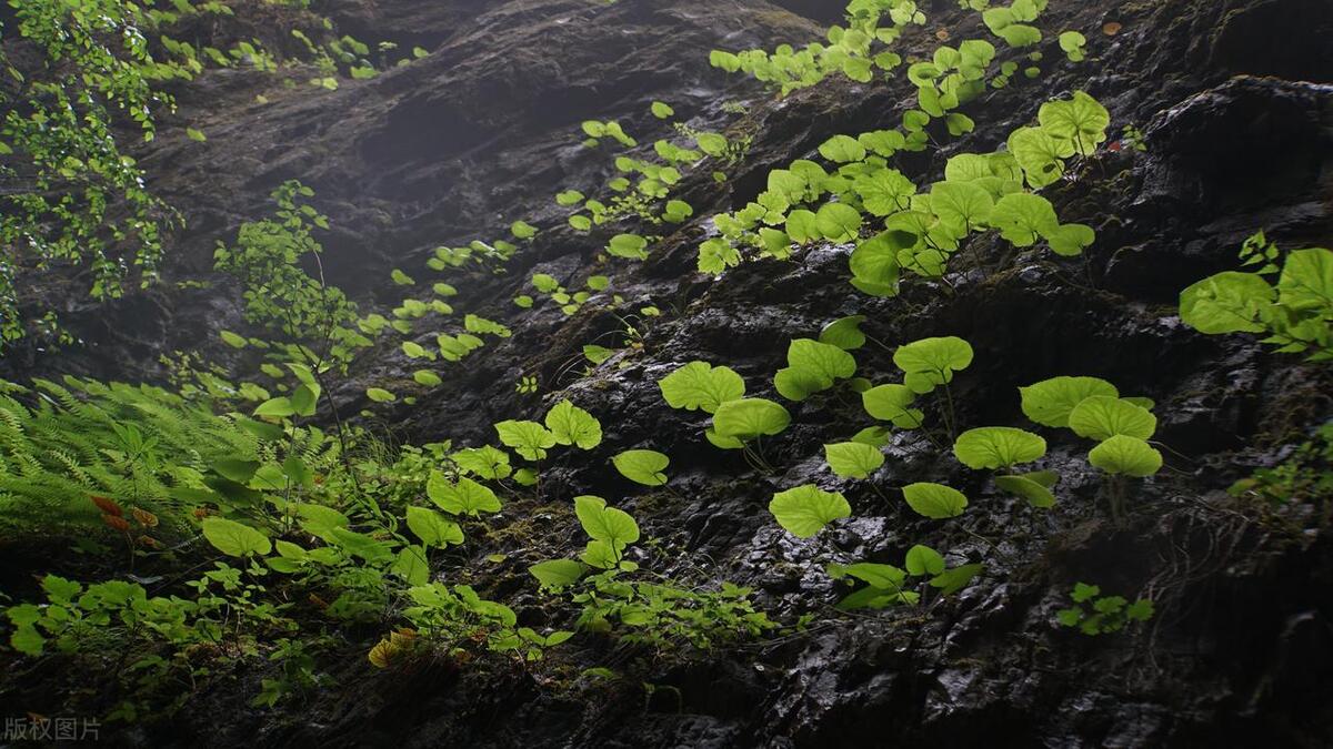 野三坡旅游图片欣赏,野三坡山水
