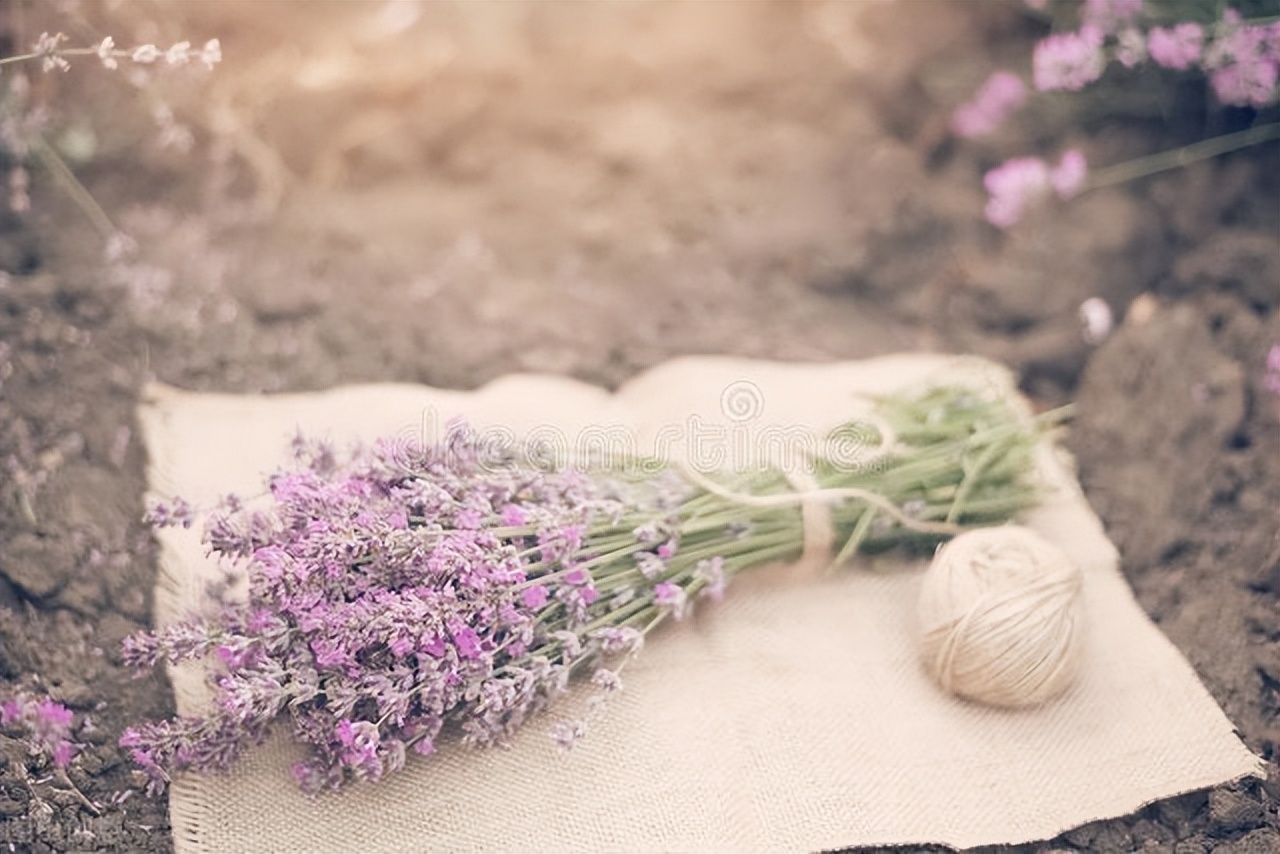 感谢每一天的美好遇见,感谢每一天的相逢