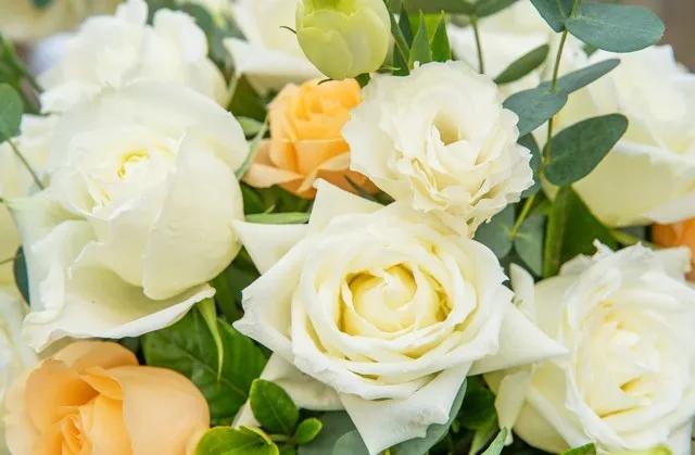 黄玫瑰代表什么含义,黄玫瑰歌曲