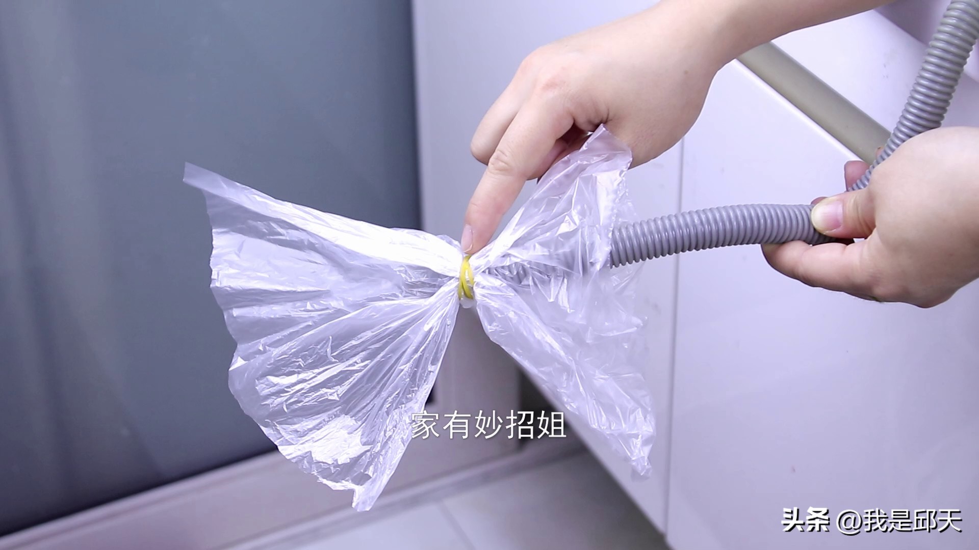 从下水道里爬上来虫子怎么能除掉,下水道臭而且有虫子怎么办