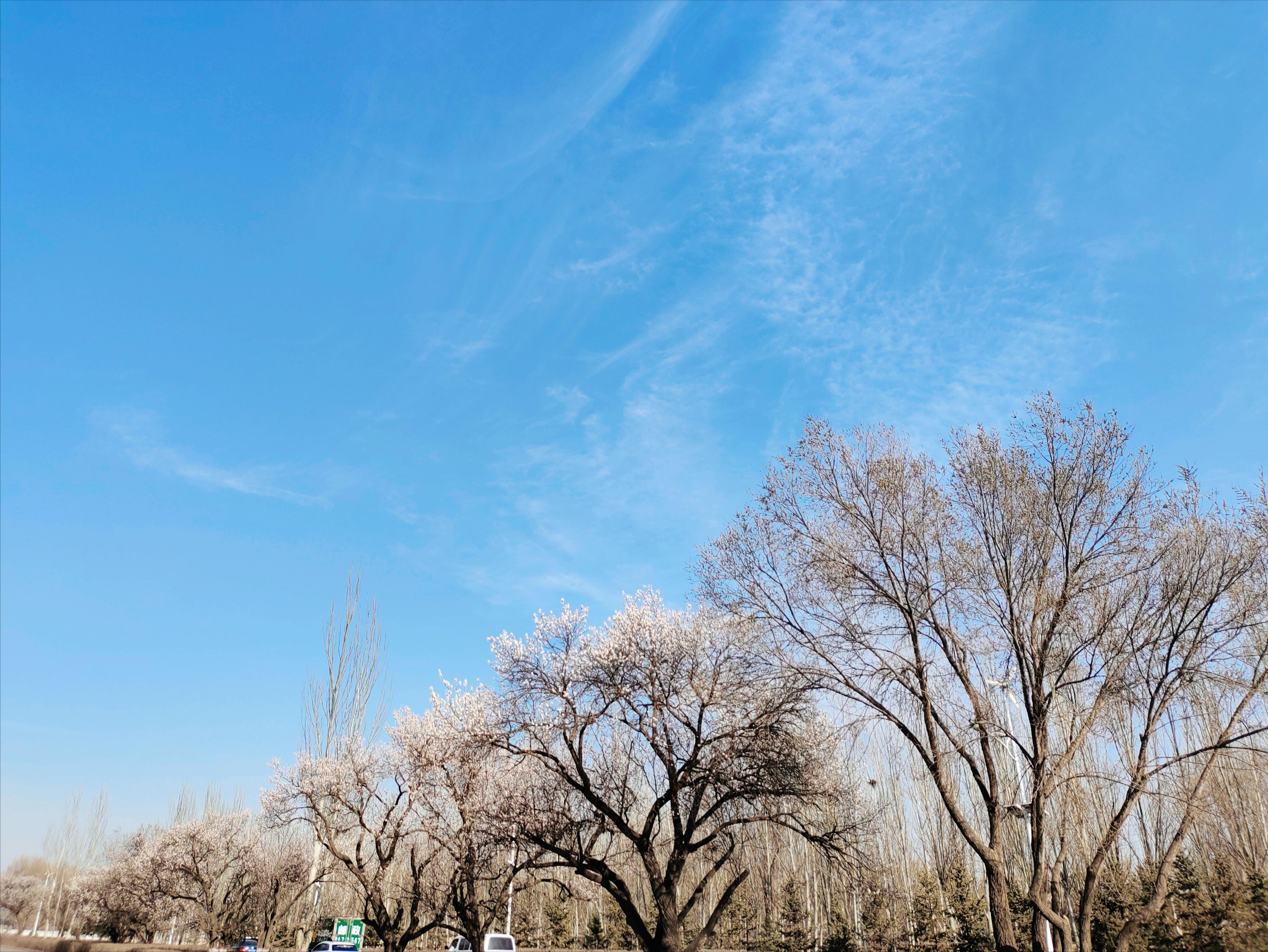 娓呮祬鏃跺厜闈欎韩娓呮,鏃跺厜娓呮祬浜洪棿娓呮