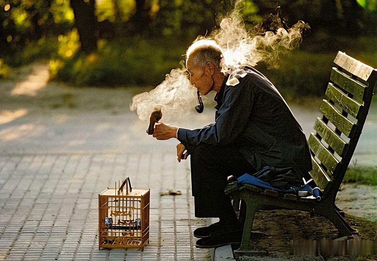 失踪78年的北京人头盖骨就藏在日坛树林里？