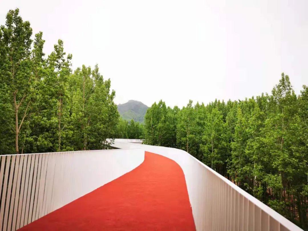 西安最美健步路线推荐,西安最美健步路线等你来推荐