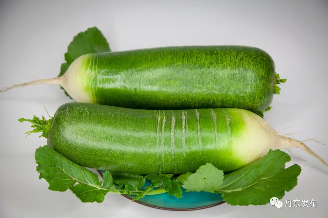 宜居宜业宜学宜养宜游,宜居宜游宜养宜休