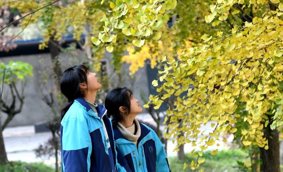 踢出精彩、脚下生金，温江中学女足斩获成都市足球锦标赛冠军