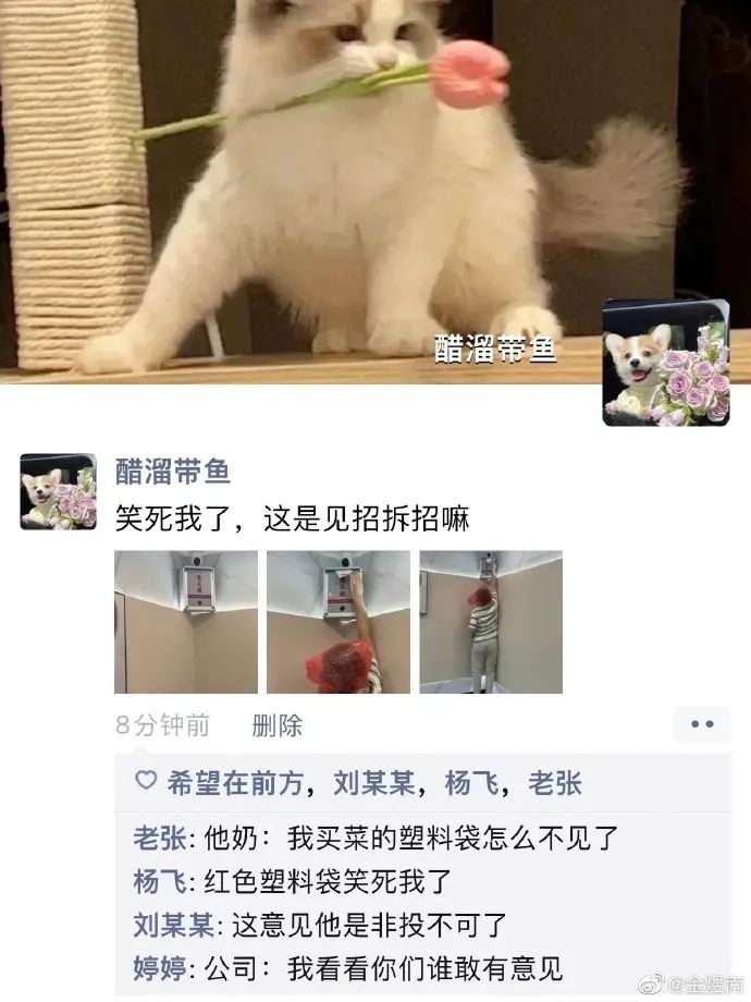 这是我见过最硬气的请假条,这些请假理由简直颠覆我的认知