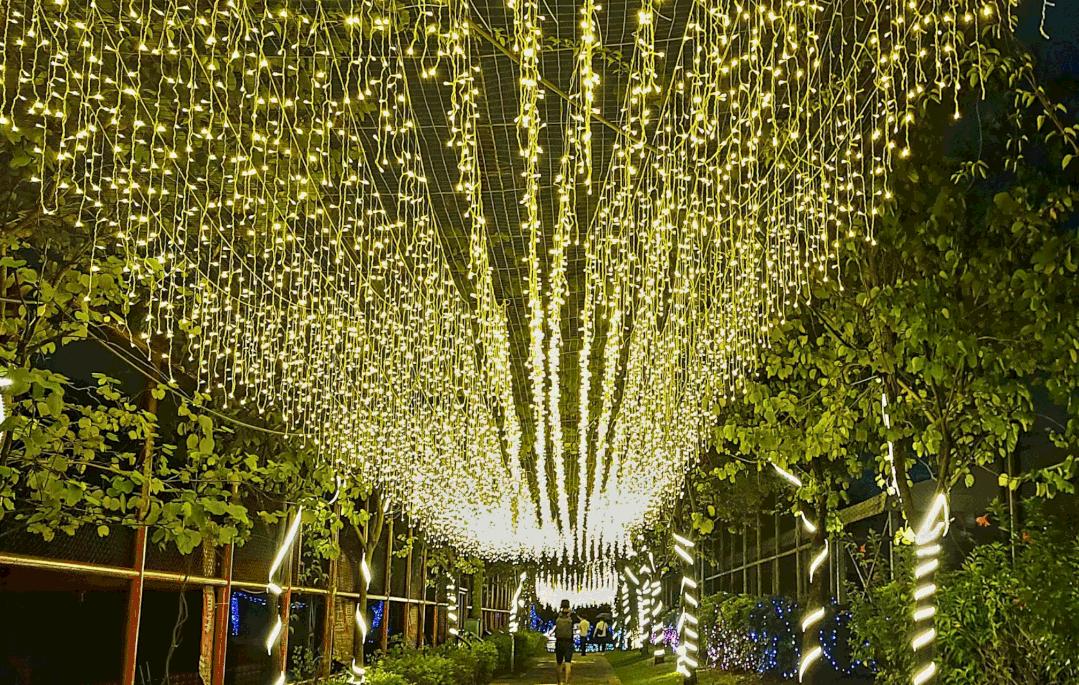 恢复开园！12种玩法带你玩转深圳观澜湖生态运动公社