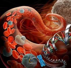 有关癌症的循证问题,癌症临床试药有治愈的吗