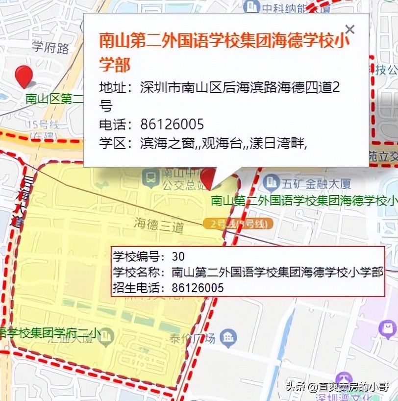 南山区重点小学,南山区重点小学和初中排名