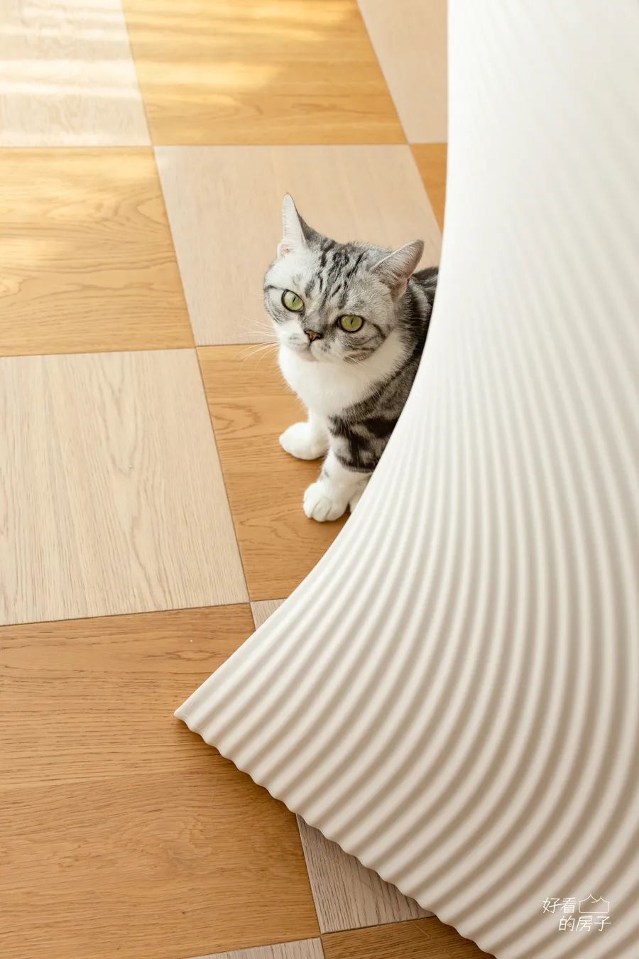 好看的房子还有一些细节,好看的房子外表