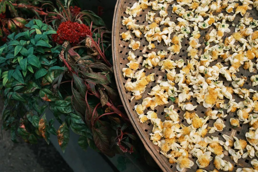 适马85mmf1.4镜头富士卡口,富士适马18-50镜头评测