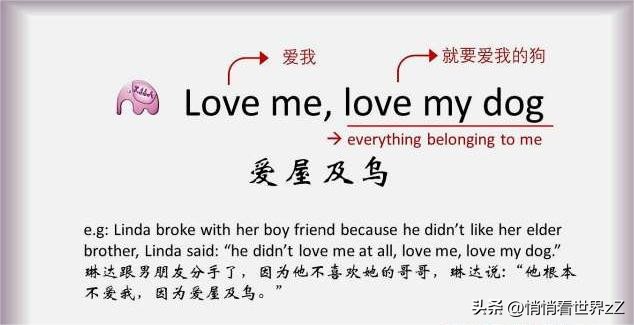 英语取消必修,英语该不该取消必修