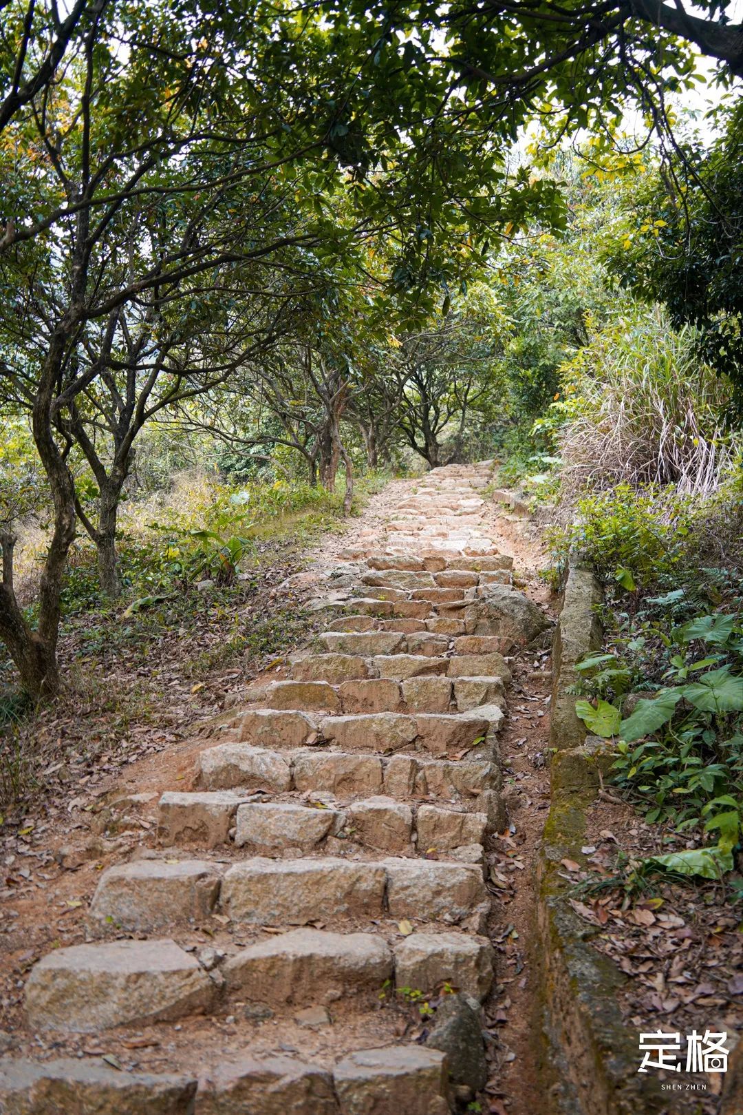 深圳户外好玩的地方推荐,深圳游玩景点户外推荐
