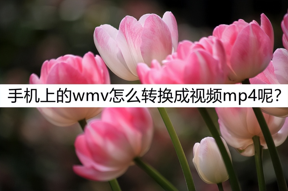在手机怎样把wmv视频转换成mp4,手机wmv如何转换成mp4
